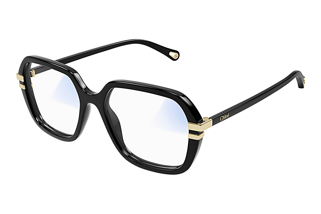 Chloé   CH0205S 001 BLACK