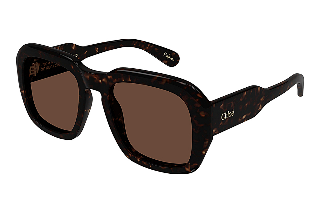 Chloé   CH0310S 002 HAVANA