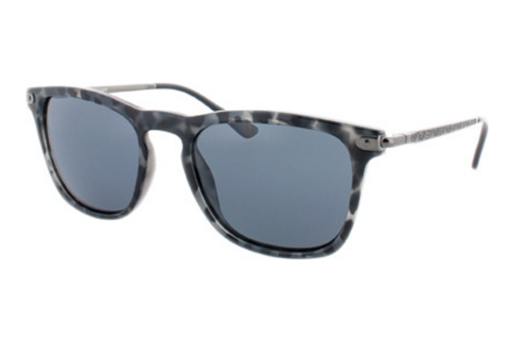 HIS Eyewear   HP78108 4 grey POLgrey havanna