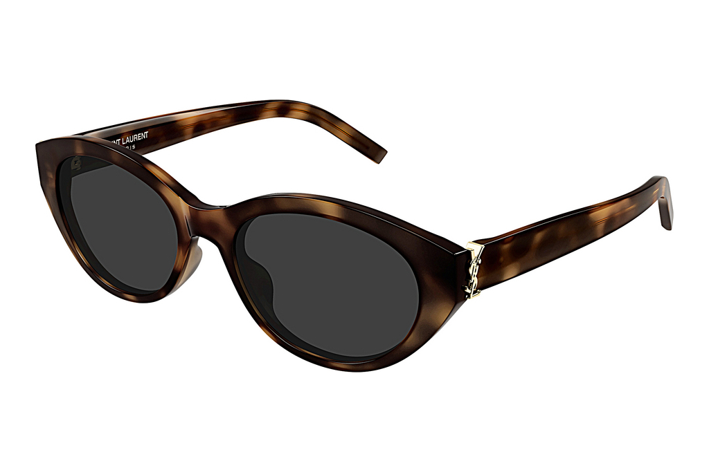 Saint Laurent   SL M148 003 HAVANA