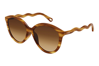 Chloé CH0087S 002 HAVANA