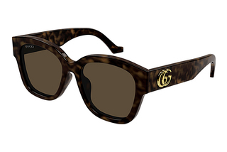 Gucci GG1550SK 002 HAVANA