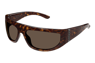 Gucci GG1574S 002 HAVANA