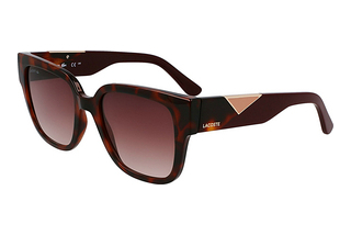 Lacoste L6044S 214 BROWN HAVANA