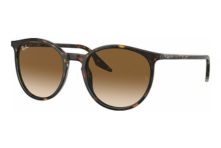 Ray-Ban RB2204 902/51