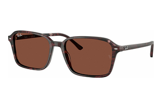 Ray-Ban RB2231 1416C5