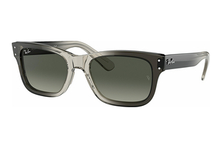 Ray-Ban RB2283 134071