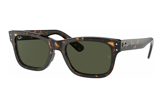 Ray-Ban RB2283 902/31