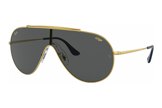 Ray-Ban RB3597 924687