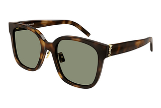 Saint Laurent SL M105/F 003 HAVANA