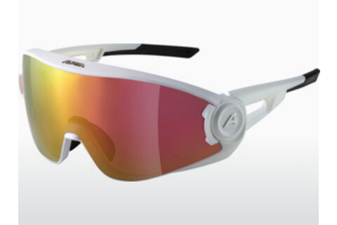 Солнцезащитные очки ALPINA SPORTS 5W1NG (A8654 510)