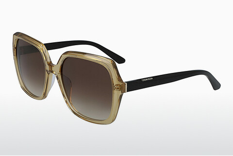 Солнцезащитные очки Calvin Klein CK20541S 259