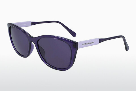 Солнцезащитные очки Calvin Klein CKJ20500S 505