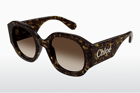 Солнцезащитные очки Chloé CH0234S 002