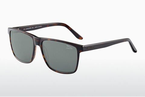 Солнцезащитные очки Jaguar 37160 8940