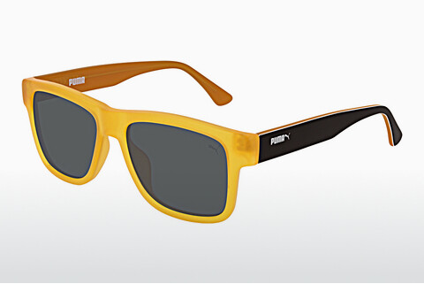 Солнцезащитные очки Puma PJ0001S 012