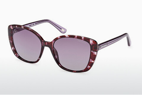 Солнцезащитные очки Skechers SE6265 55D