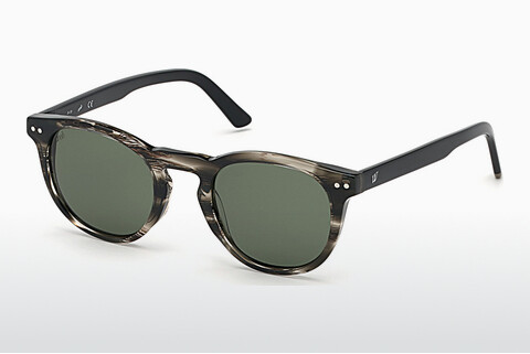 Солнцезащитные очки Web Eyewear WE0251 20N