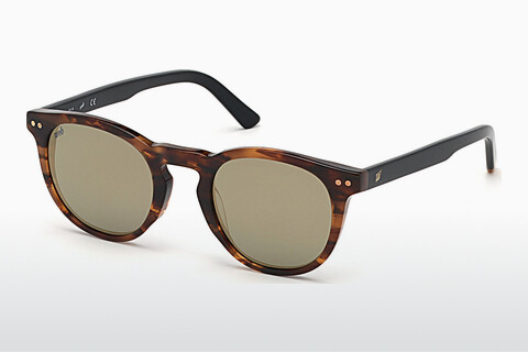 Солнцезащитные очки Web Eyewear WE0251 56C
