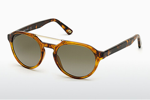 Солнцезащитные очки Web Eyewear WE0278 56R