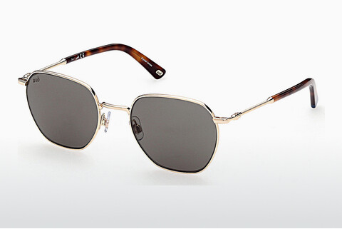Солнцезащитные очки Web Eyewear WE0312 32W