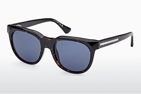 Солнцезащитные очки Web Eyewear WE0335 56V